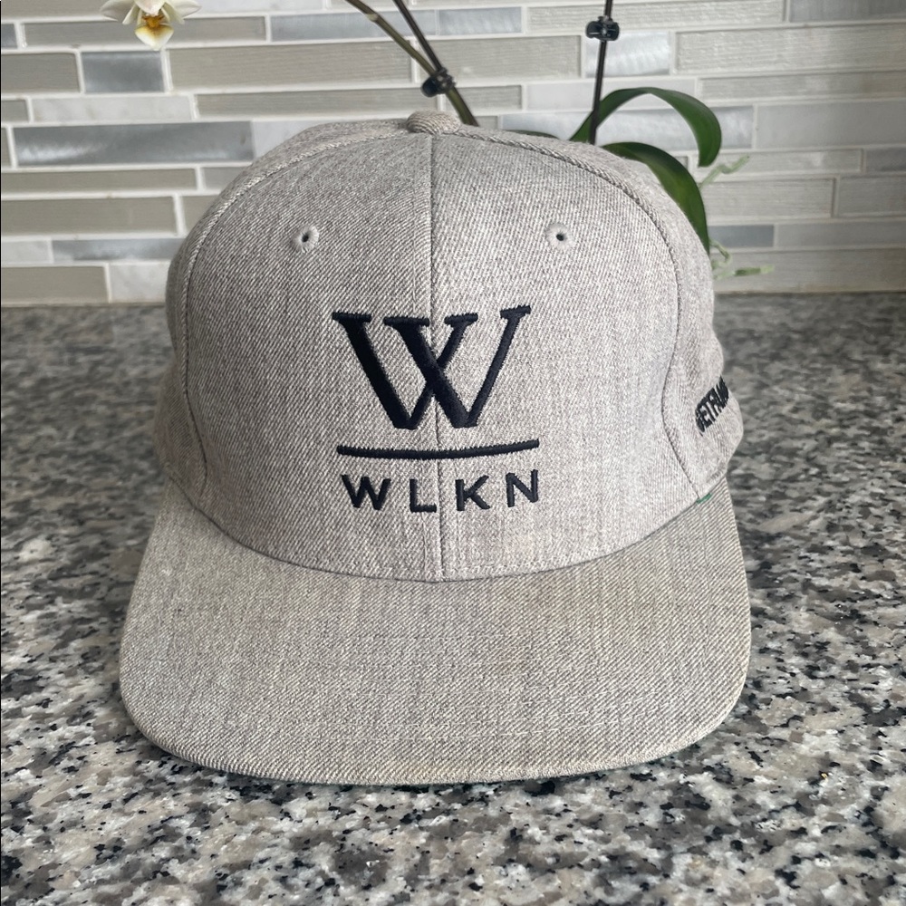 WLKN GETFAMILIAR Gray Snapback Hat Cap